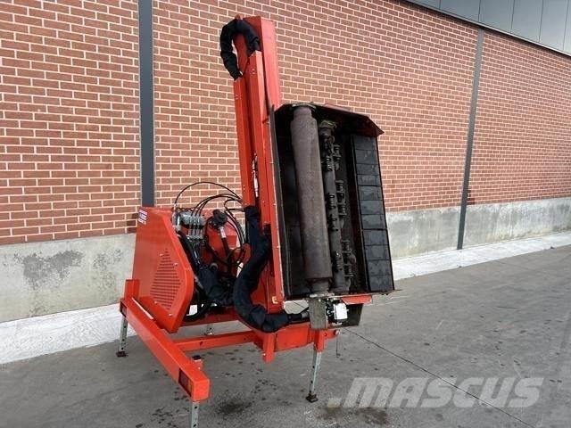 Maschio cristina Segadoras