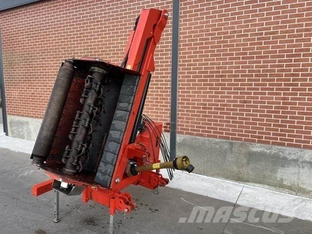 Maschio cristina Segadoras