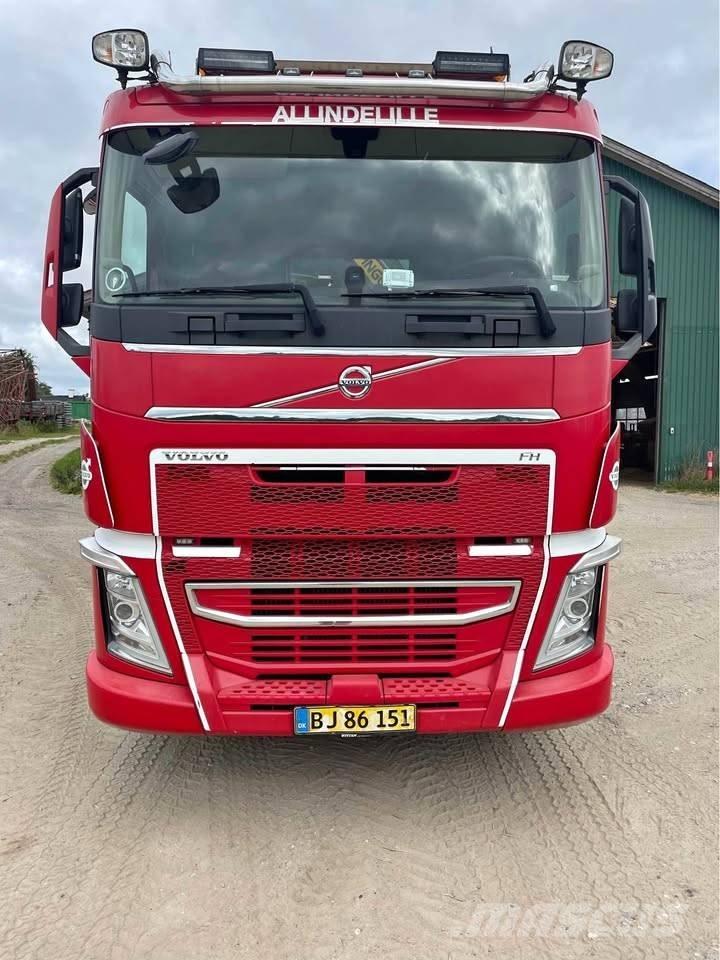 Volvo FH 500 Camiones grúa
