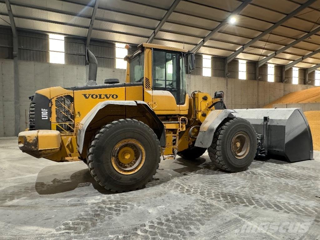 Volvo L110F Cargadoras sobre ruedas
