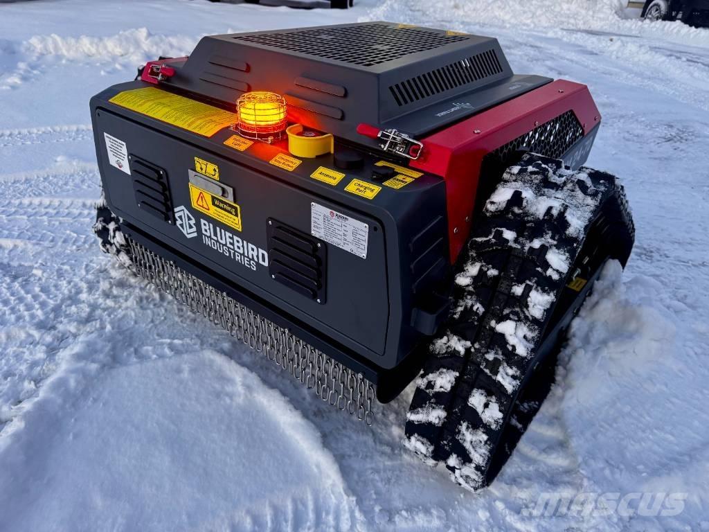 Blue Bird FM 24-70 Corta-césped manual