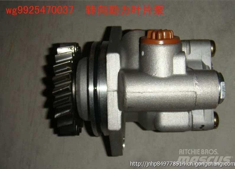  zhongqi WG9925470037 Motores