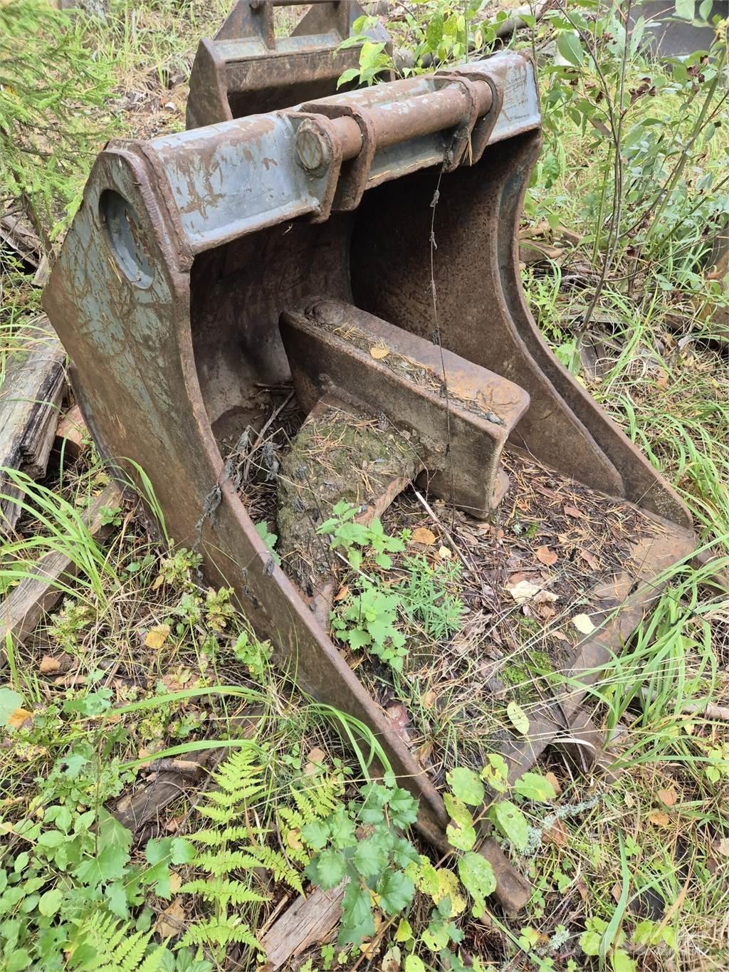 Lännen kynsikauha Cucharones