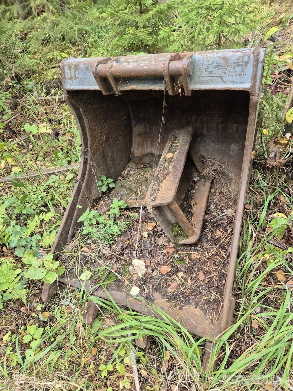 Lännen kynsikauha Cucharones