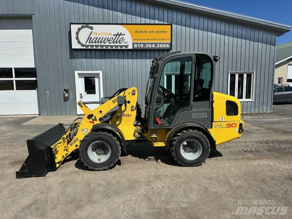 Wacker Neuson WL 30 Cargadoras sobre ruedas