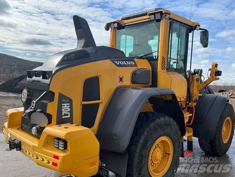 Volvo L 70 H Cargadoras sobre ruedas