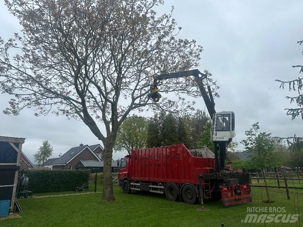 DAF cf As75pc Transporte de madera