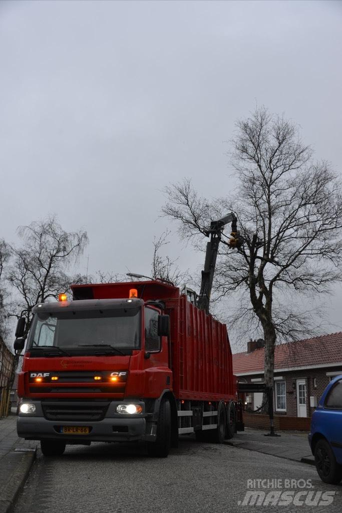 DAF cf As75pc Transporte de madera