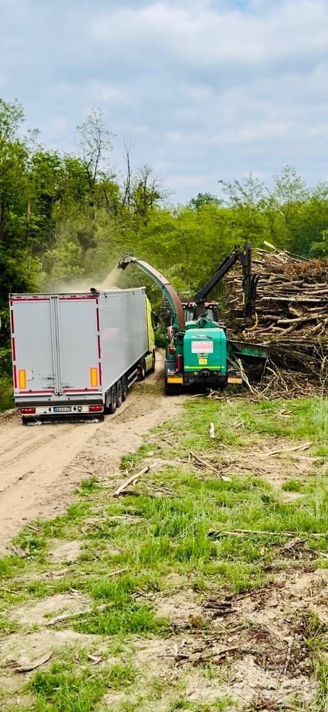 JENZ HEM 561Z Procesadoras y cortadoras de leña