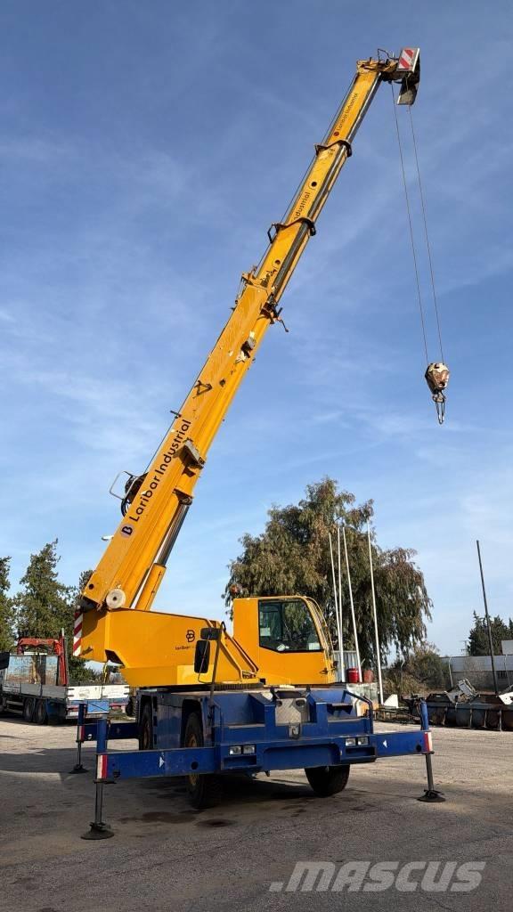  GRUA DEMAG 25T Grúas autopropulsadas