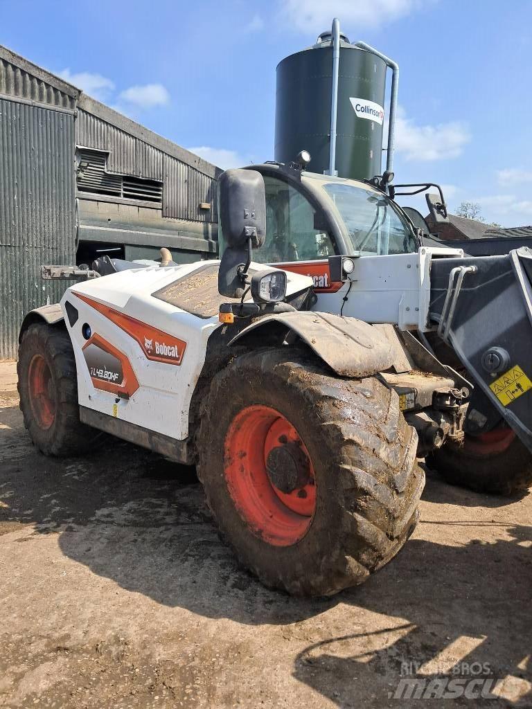 Bobcat TL 43.80 HF Manipuladores telescópicos agrícolas