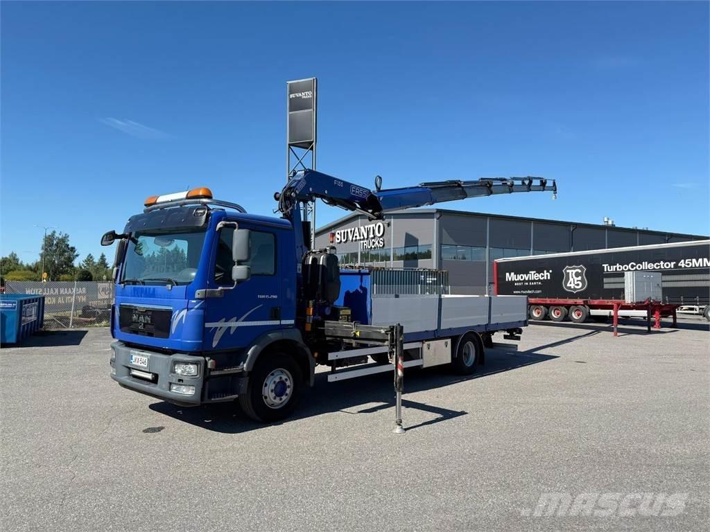 MAN TGM 15.290 4x2 Camiones grúa