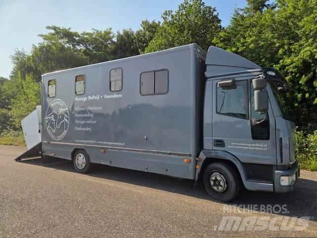 Iveco E 75 Camiones de ganado