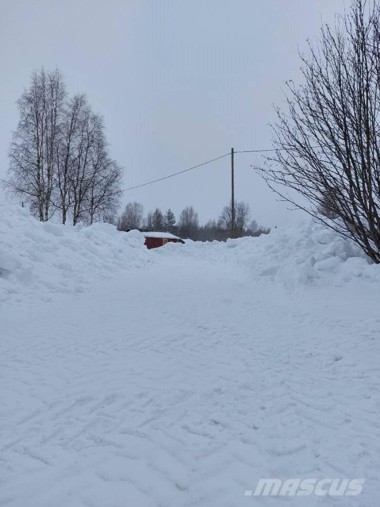  Greenmaster 250 Palas cargadoras