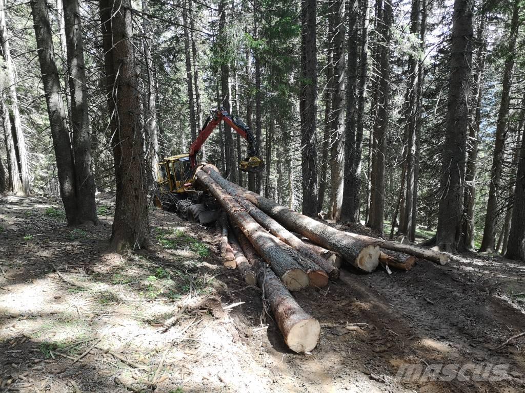 Welte 130K Arrastrador de troncos