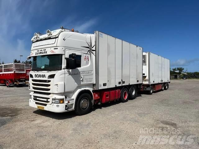 Scania R 730 Isotermos y frigoríficos