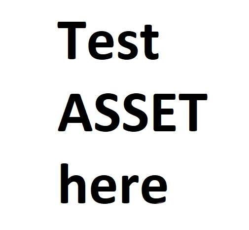  test B Cargadoras sobre ruedas