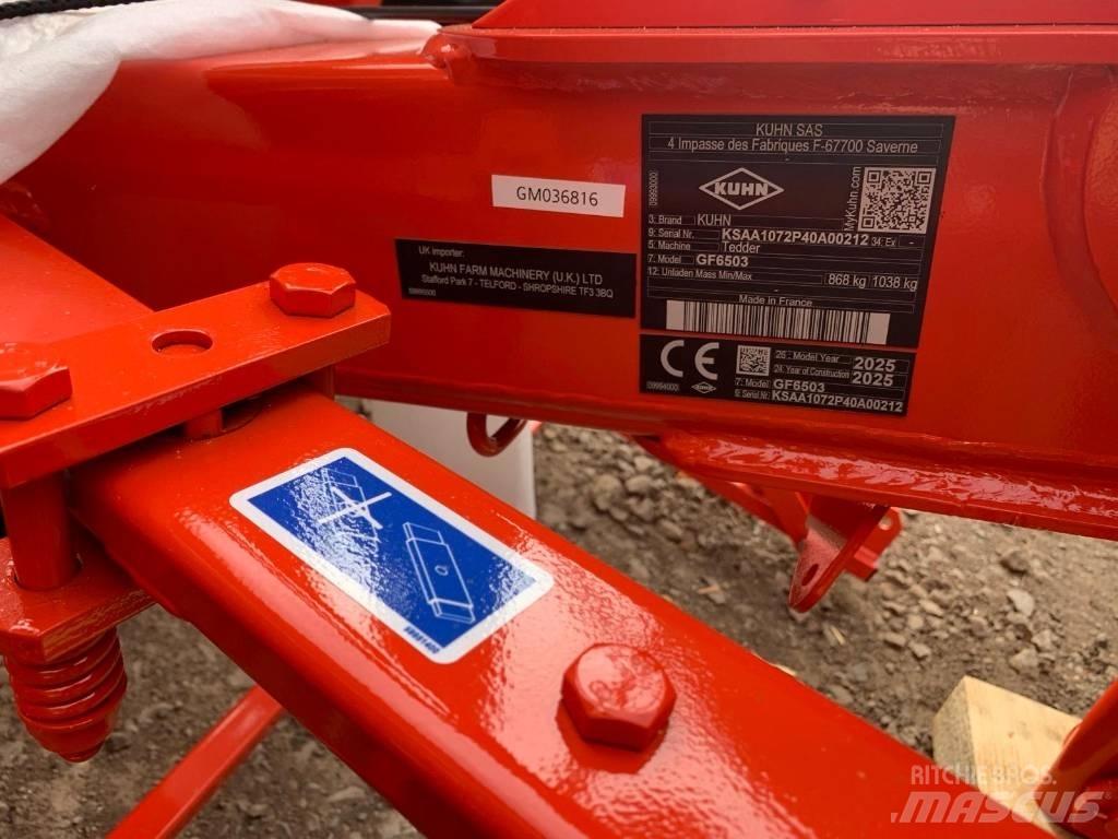 Kuhn GF6503 TEDDER Rastrillos y henificadores