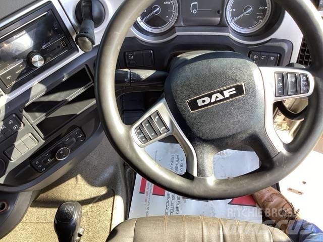 DAF XF 480 Cabezas tractoras