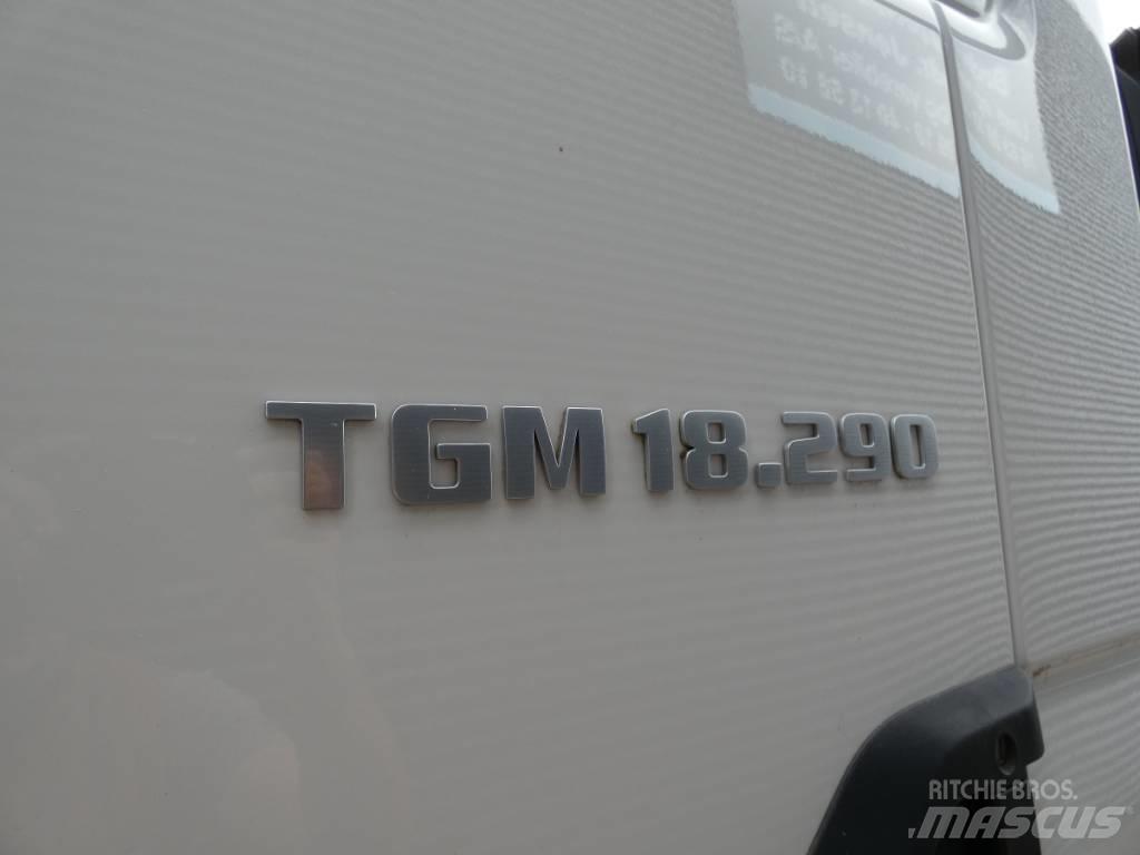 MAN TGM 18.290 Camiones grúa
