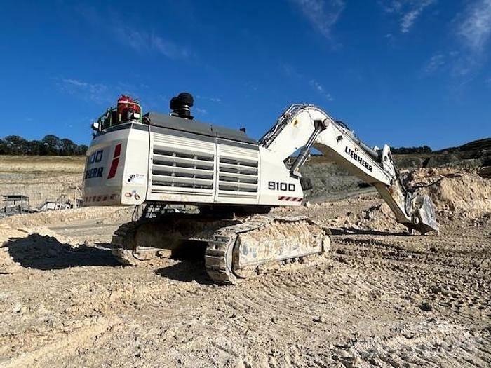 Liebherr R9100 Excavadoras especiales