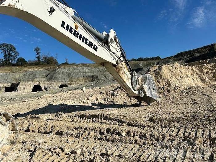 Liebherr R9100 Excavadoras especiales