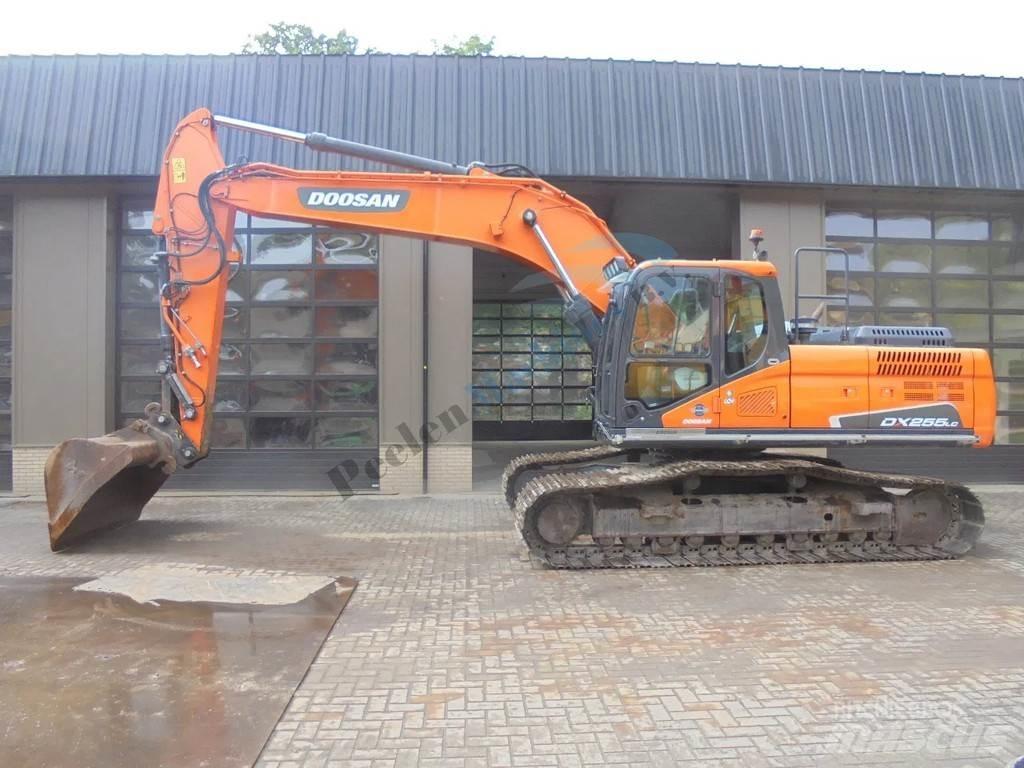 Doosan DX 255 LC-5 Excavadoras de cadenas