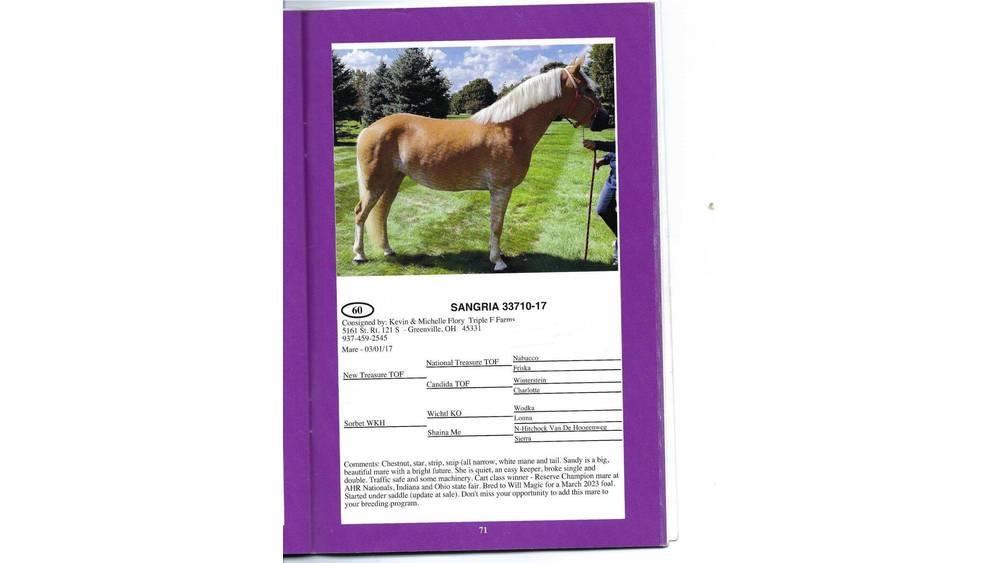  8 YO Chestnut Mare Otros equipos para ganadería