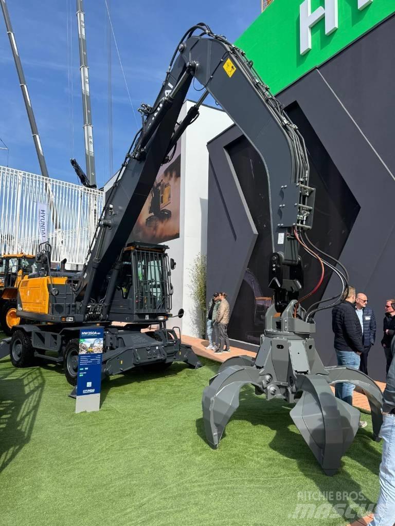 Hyundai HW 250 AMH Excavadoras de manutención