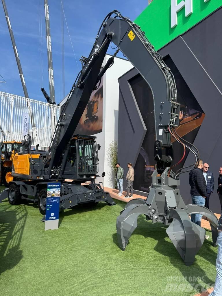 Hyundai HW 250 AMH Excavadoras de manutención