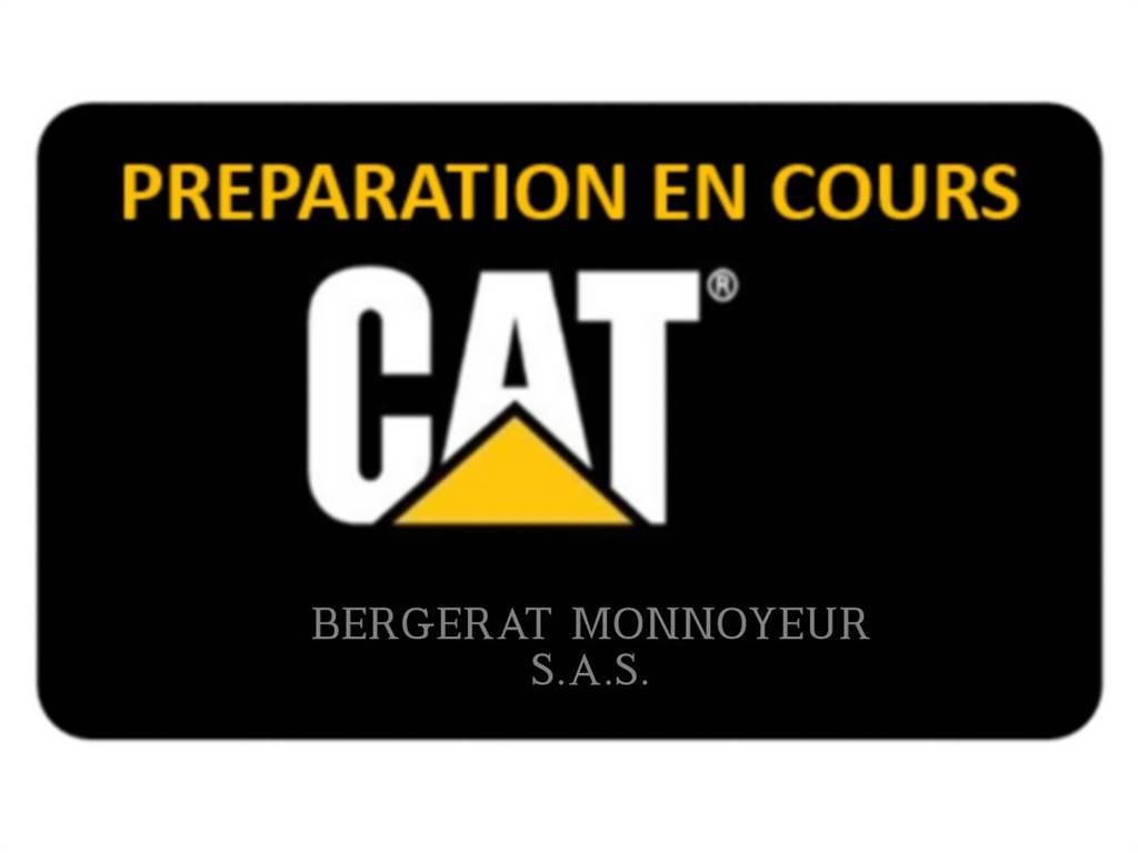 CAT 972M XE Cargadoras sobre ruedas