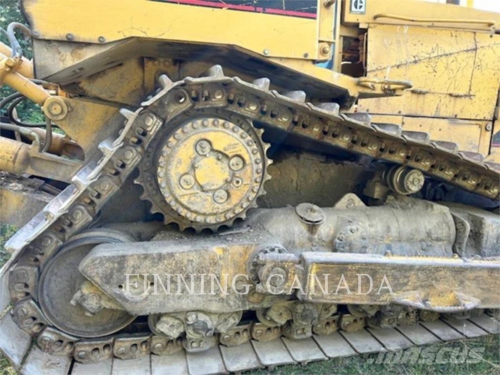 CAT D8N Buldozer sobre oruga