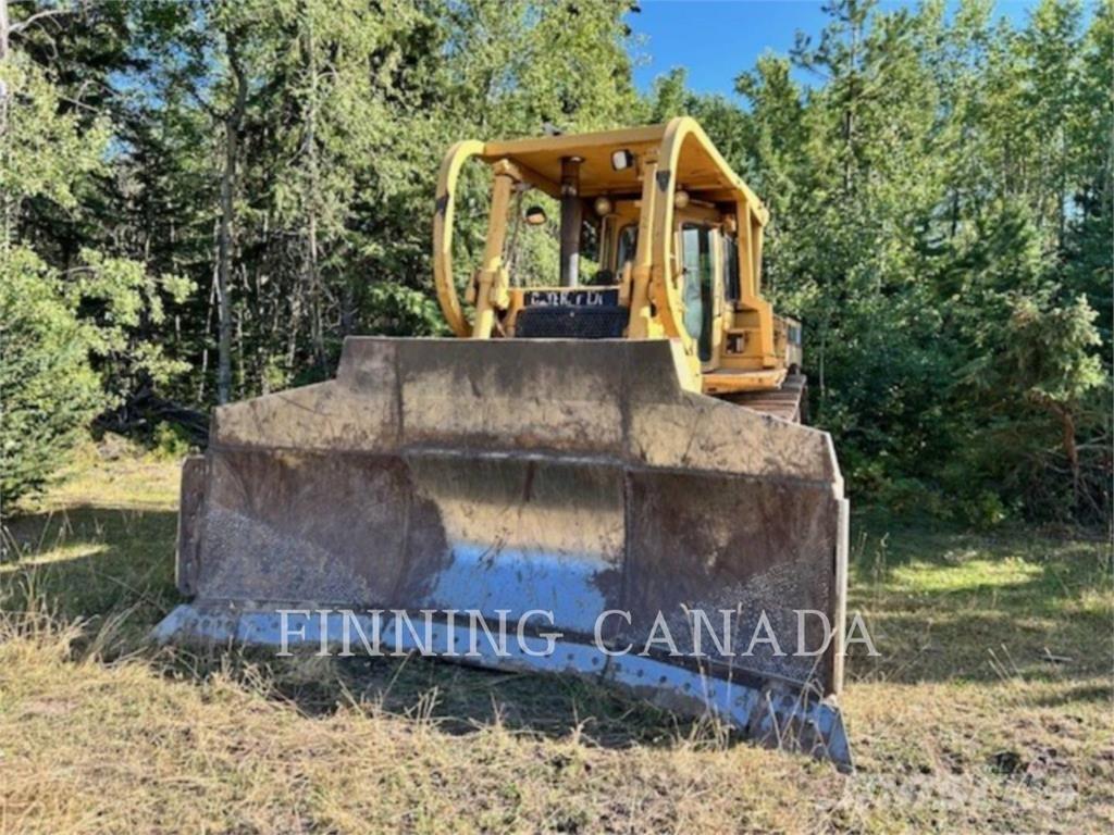 CAT D8N Buldozer sobre oruga