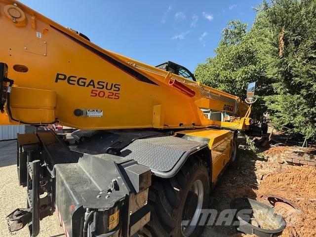 Dieci Pegasus 50.25 Carretillas telescópicas