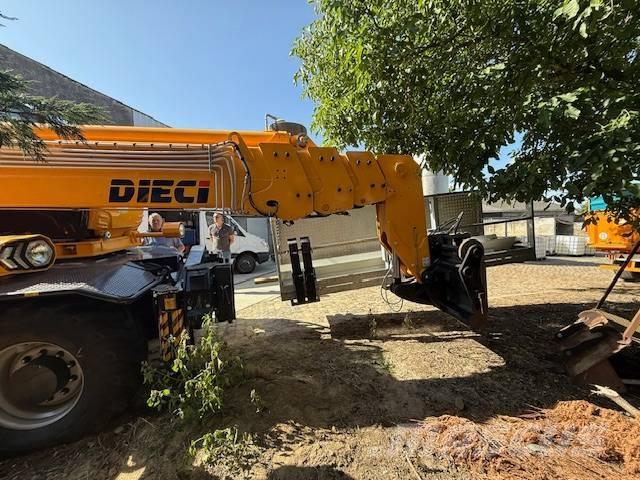 Dieci Pegasus 50.25 Carretillas telescópicas