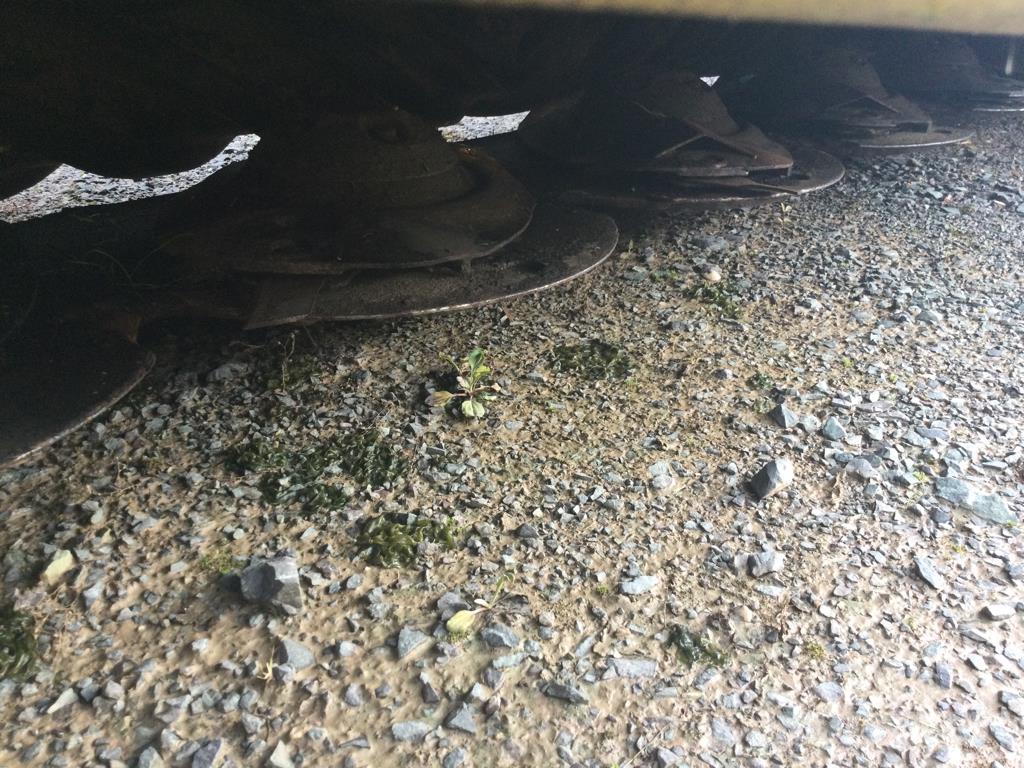 Fella SM 310 TL RC Corta-césped delanteros y traseros