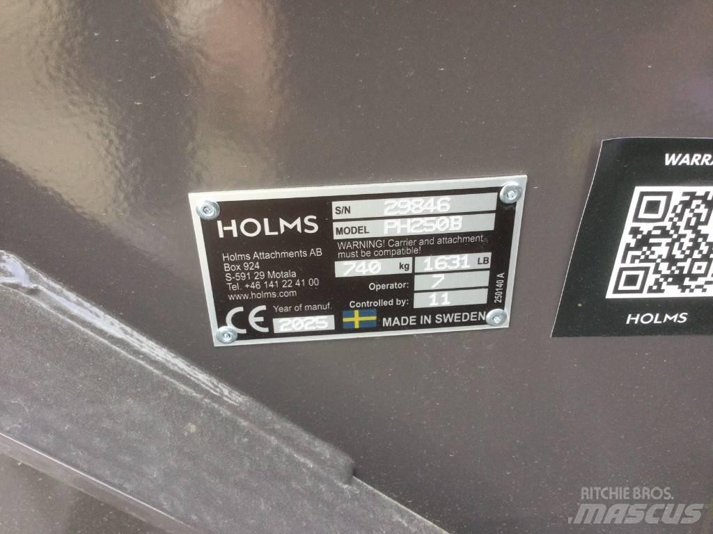 Holms PH250 Cepillos