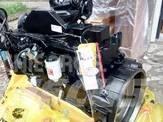 Cummins 6BTA5.9-C125 Motores