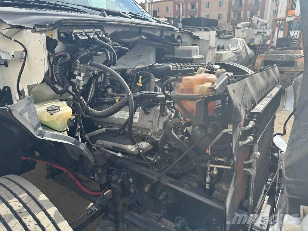 Ford F 650 SD Camiones volquete para virutas de madera