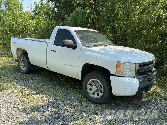 Chevrolet 1500 Furgonetas caja abierta