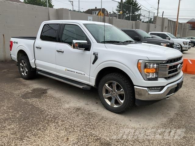 Ford F-150 Otras furgonetas