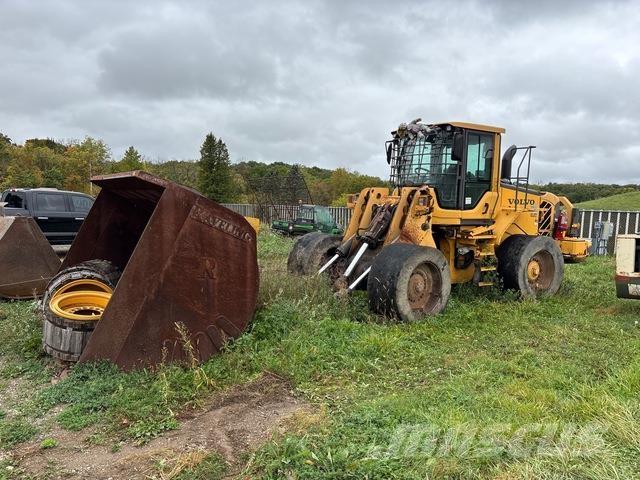 Volvo L110F Cargadoras sobre ruedas