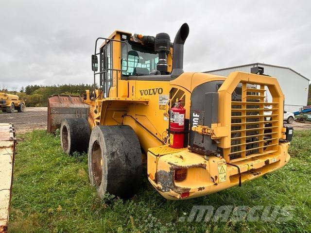 Volvo L110F Cargadoras sobre ruedas