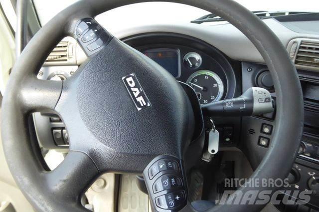 DAF CF 75.310 Camiones con gancho