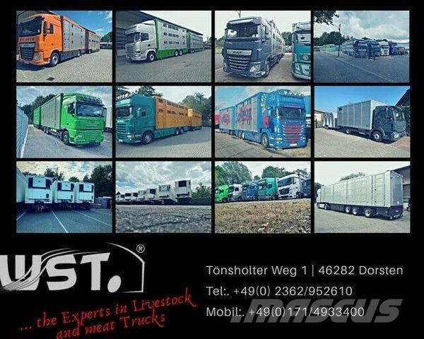 Eggers HTP Plane Caja de lona