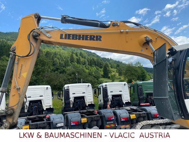 Liebherr R 924 LC Excavadoras de cadenas