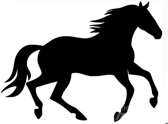  Bay Filly Construcción - Otros