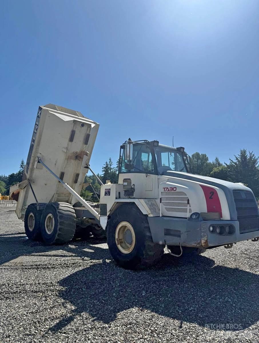Terex TA30 Furgonetas /Furgón