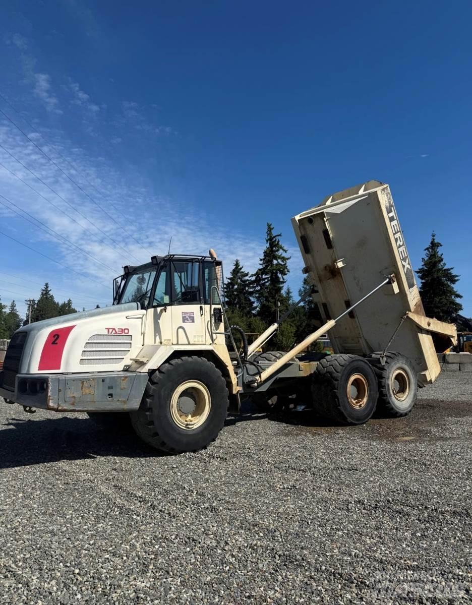 Terex TA30 Furgonetas /Furgón