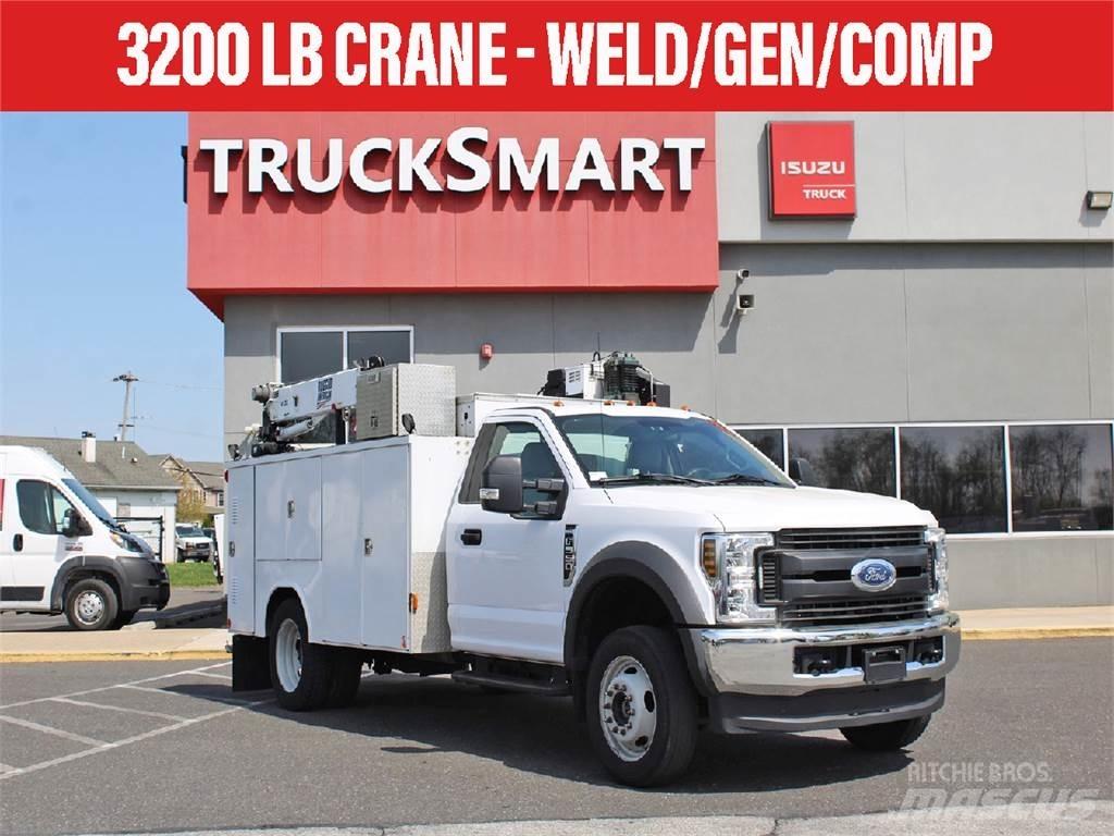 Ford F550 Camiones grúa